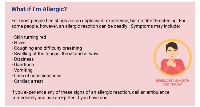 First Aid for Bee Stings Guide