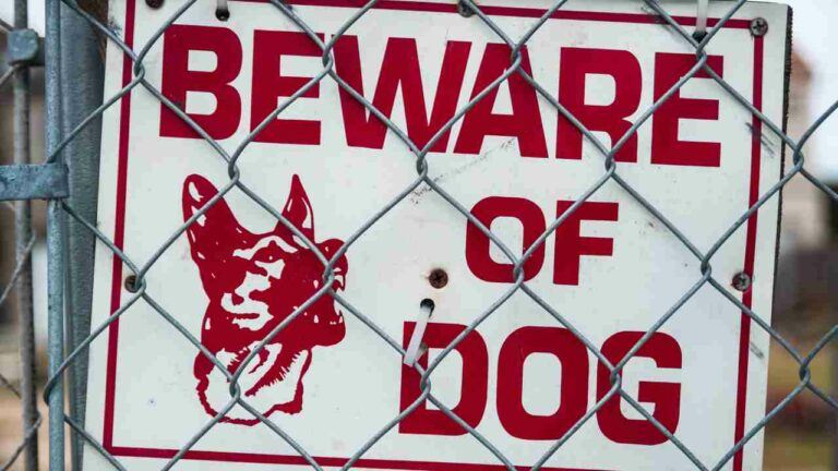 beware of dog sign
